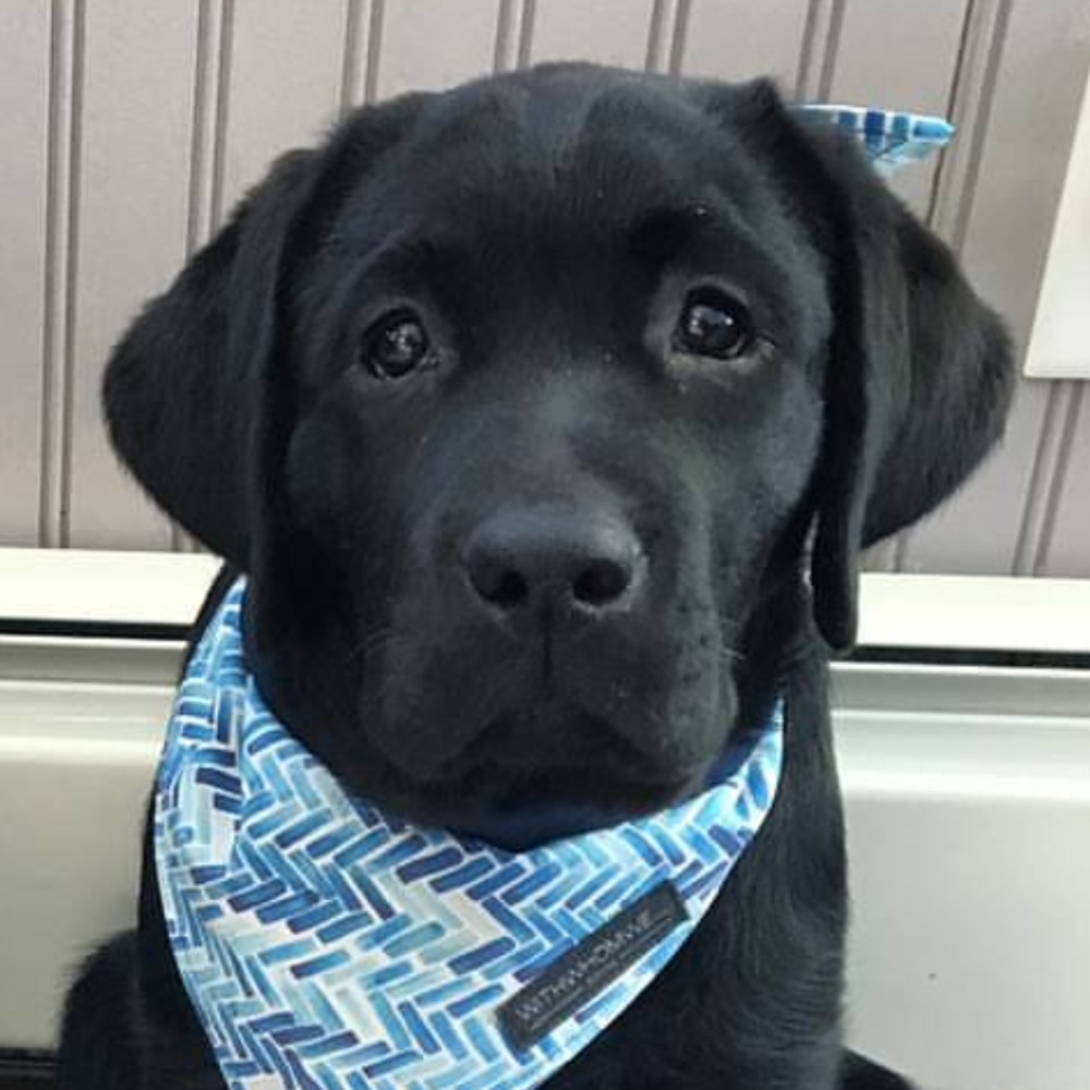 Meet your Posher, Alix